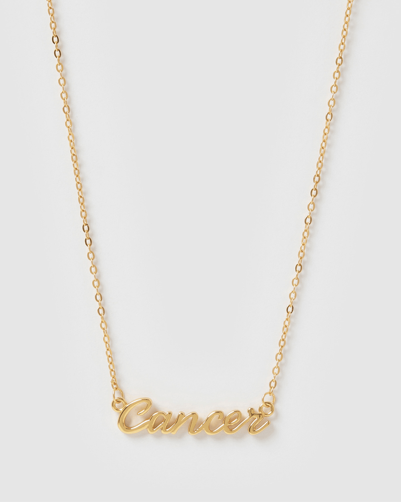 
                
                    Load image into Gallery viewer, Izoa Necklaces Izoa Cancer Written Star Sign Necklace Gold IZ-WRITTENNECK-CANCER-GLD
                
            